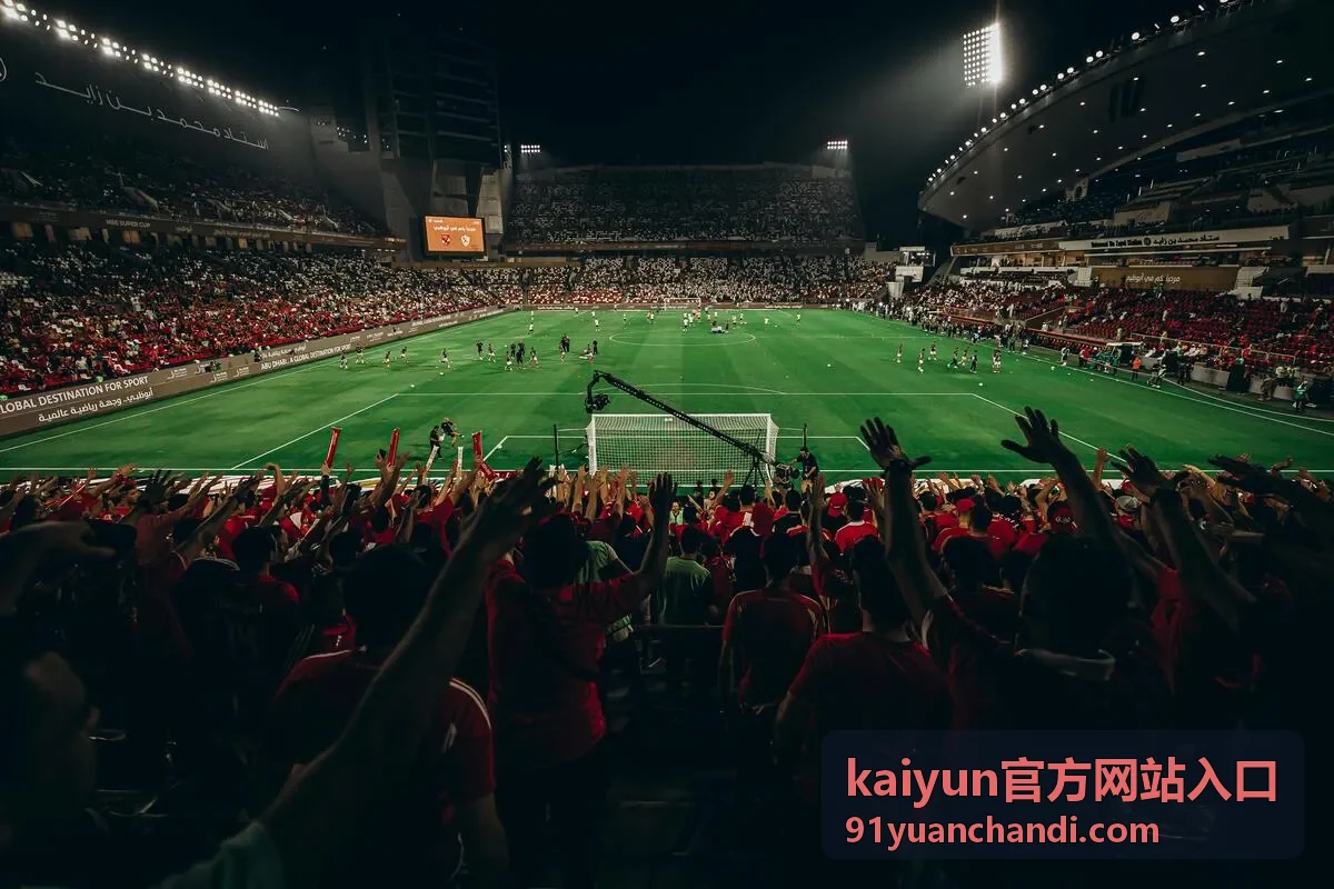 kaiyun官方网站入口操作说明图文封面